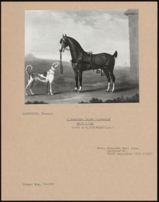 A Carriage Horse Harnessed with a Dog