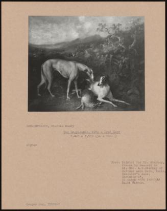 Two Greyhounds, With A Dead Hare