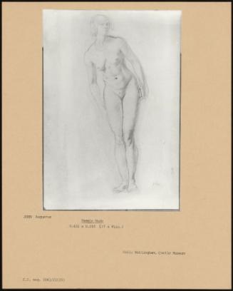 Female Nude