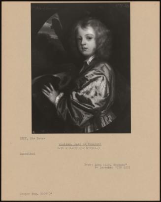 William, Duke Of Somerset