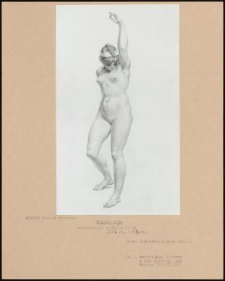 Female Nude