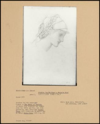 Studies For Fortune: A Woman's Head