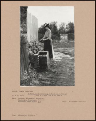 A Farm Girl Cleaning A Bowl By A Trough