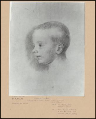 Study Of A Baby