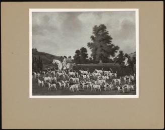 Peter Beckford's Hounds