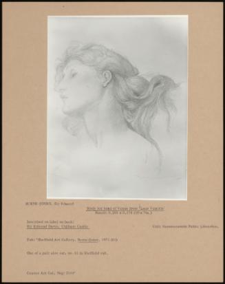 Study For Head Of Venus From 'laus Veneris'