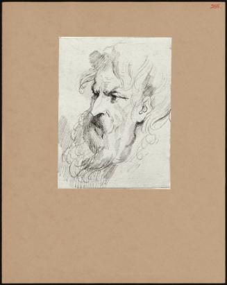 Study Of Head Of St Paul