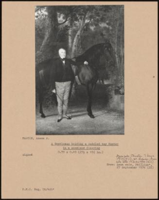 A Gentleman Holding A Saddled Bay Hunter In A Woodland Clearing