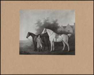 Viscount Althorp's Horses With Groom