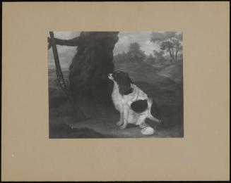 A Spaniel Under a Tree with a Shotgun Leaning Against a Branch