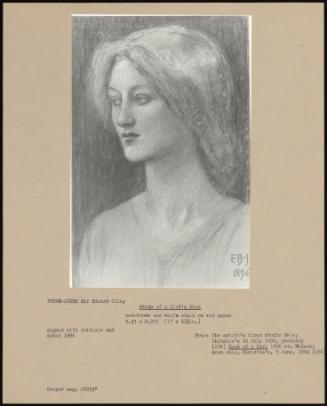 Study Of A Girl's Head