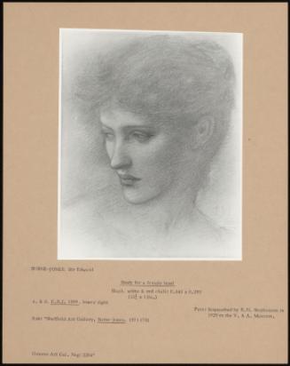 Study For A Female Head