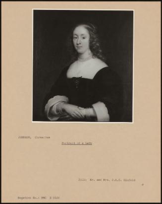 Portrait Of A Lady