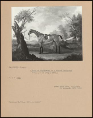 A Saddled Bay-Hunter in a Wooded Landscape