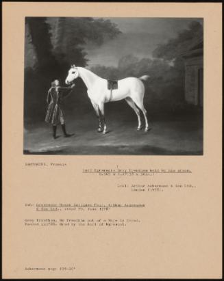 Lord Egremont Grey Trentham Held by His Groom