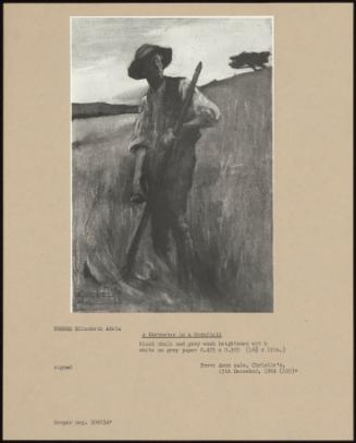 A Harvester In A Cornfield