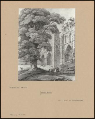 Roche Abbey