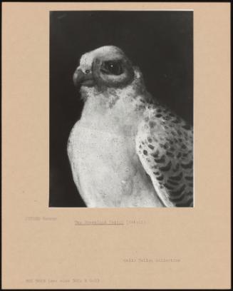 The Greenland Falcon (detail)