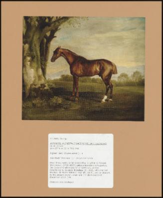 Antinous, a Chestnut Racehorse, in a Landscape