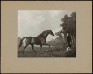 Horse and Groom in a Landscape