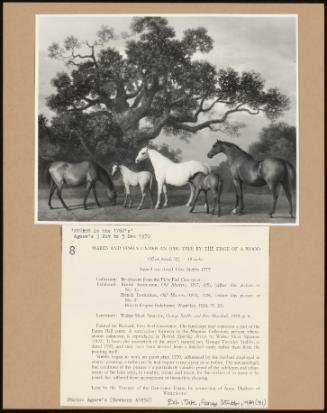 Mares and Foals Under an Oak Tree by the Edge of a Wood