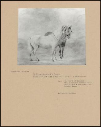 William Beckford's Ponies