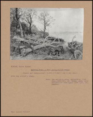 Barking Time: A Girl Among Felled Trees.