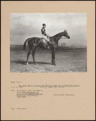 Mr. R. N. Bott's Racehorse, Thorn, Busby Up On York Racecourse