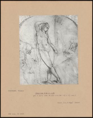 Standing Female Nude