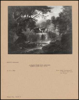 A Wooded Rocky River Landscape