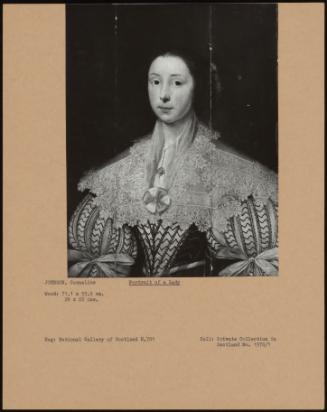 Portrait Of A Lady