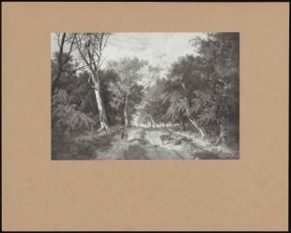 A Wooded Landscape