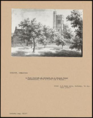 A View Through an Orchard to a Church Tower