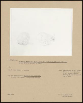 PA-F05546-0013