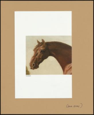 A Chestnut Thoroughbred before a Barn in an Open Landscape