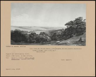 View From The Sussex Downs, Over Kingley Bottom Towards Chichester