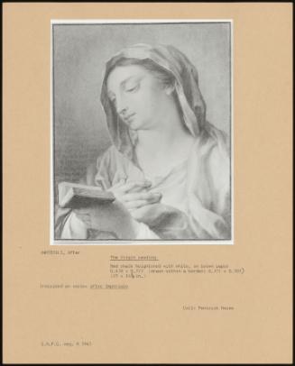 The Virgin Reading