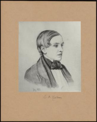 Head Of C. A. Collins (Drawing)