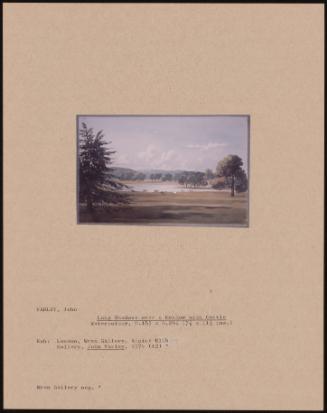 Long Shadows Over A Meadow With Cattle