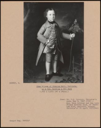 John Wilson of Evening Hall, Carlisle, as a Boy, Holding a Pet Bird