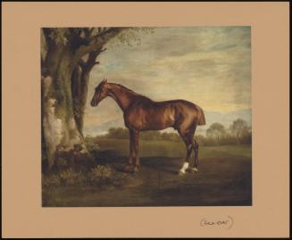 Antinous, a Chestnut Racehorse, in a Landscape