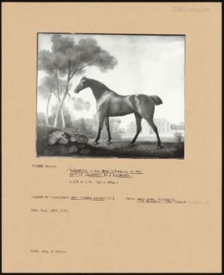 Ballerina, a Bay Mare Belonging to the Earl of Clarendon in a Landscape