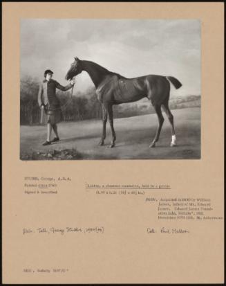 Lustre, a Chestnut Racehorse, Held by a Groom