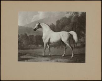 A White Horse in a Landscape