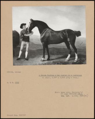 A Groom Feeding a Bay Hunter in a Landscape