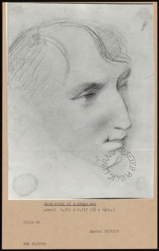 Head Study Of A Young Man