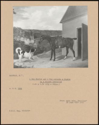 A Bay Hunter And A Dog Outside A Stable In A Wooded Landscape