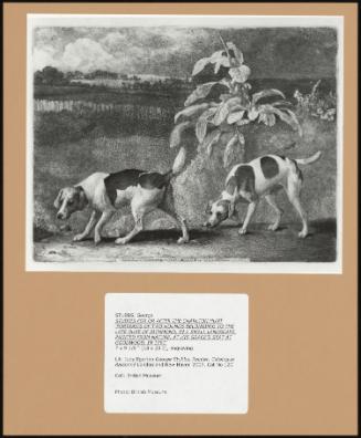 Studies for or after the Charlton Hunt "Portraits of Two Hounds Belonging to the Late Duke of Richmond, in a Small Landscape, Painted From Nature, at His Grace's Seat at Goodwood, in 1791"