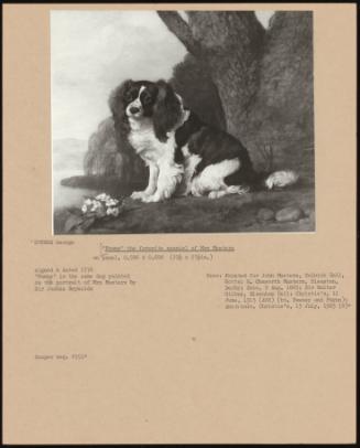 Fanny' the Favorite Spaniel of Mrs Musters