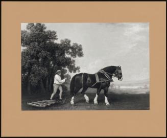 A Draught-Horse Pulling a Harrow, Driven on by a Farm Labourer